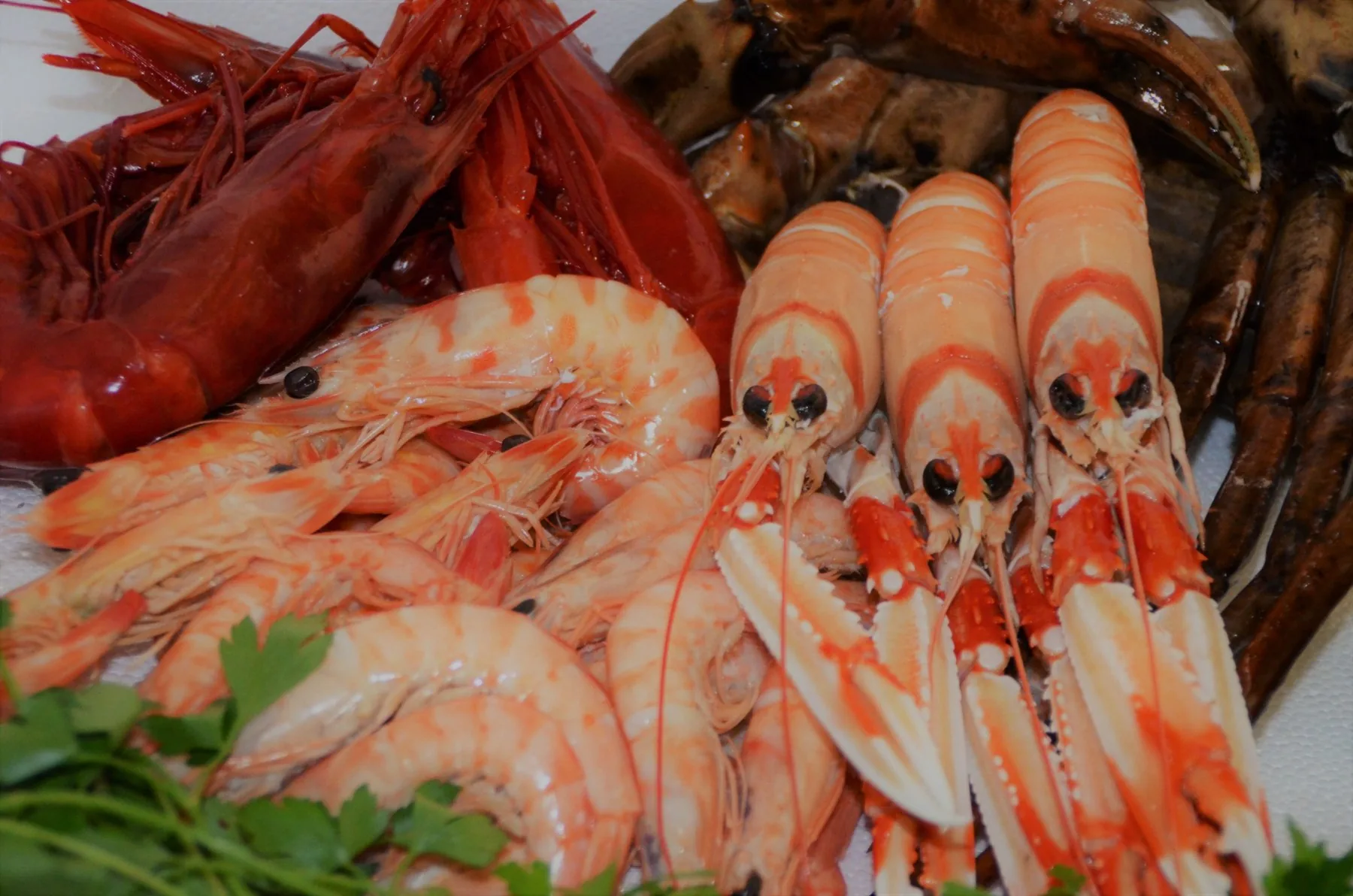 Selección de mariscos cocidos de Frescomar