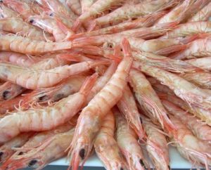 gambas