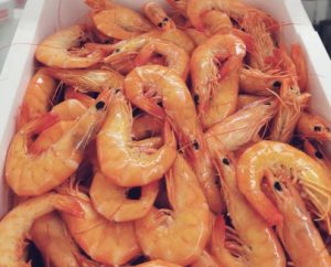 langostino